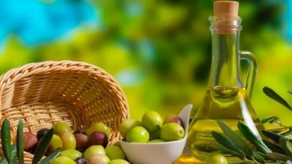 تصویر 1 از قیمت روغن زیتون مخصوص + خرید باور نکردنی